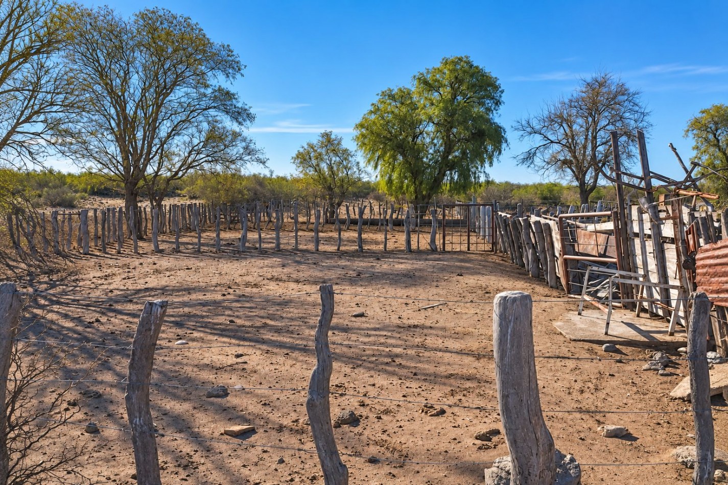 INMOESTATE VENDE CAMPO GANADERO EN SAN RAFAEL, MENDOZA