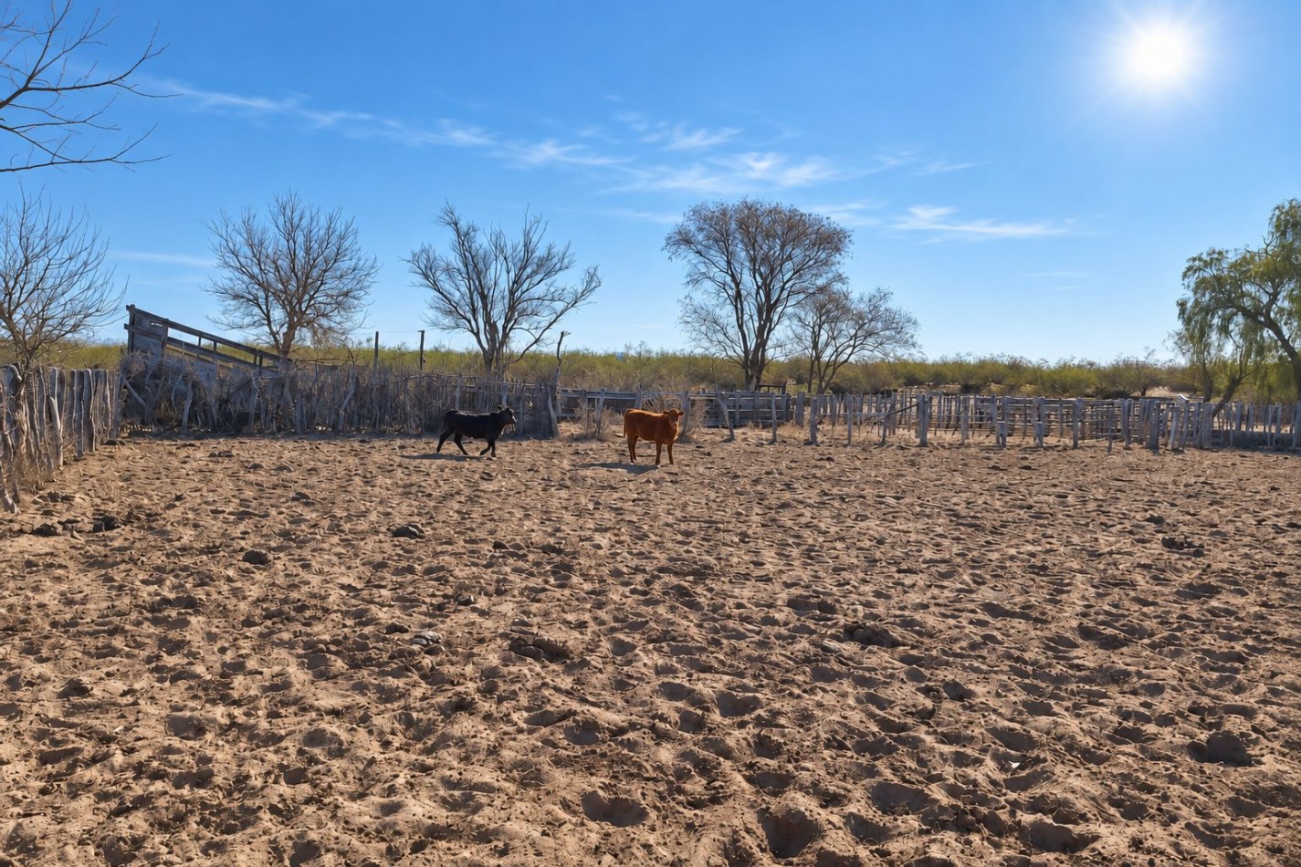 INMOESTATE VENDE CAMPO GANADERO EN SAN RAFAEL, MENDOZA