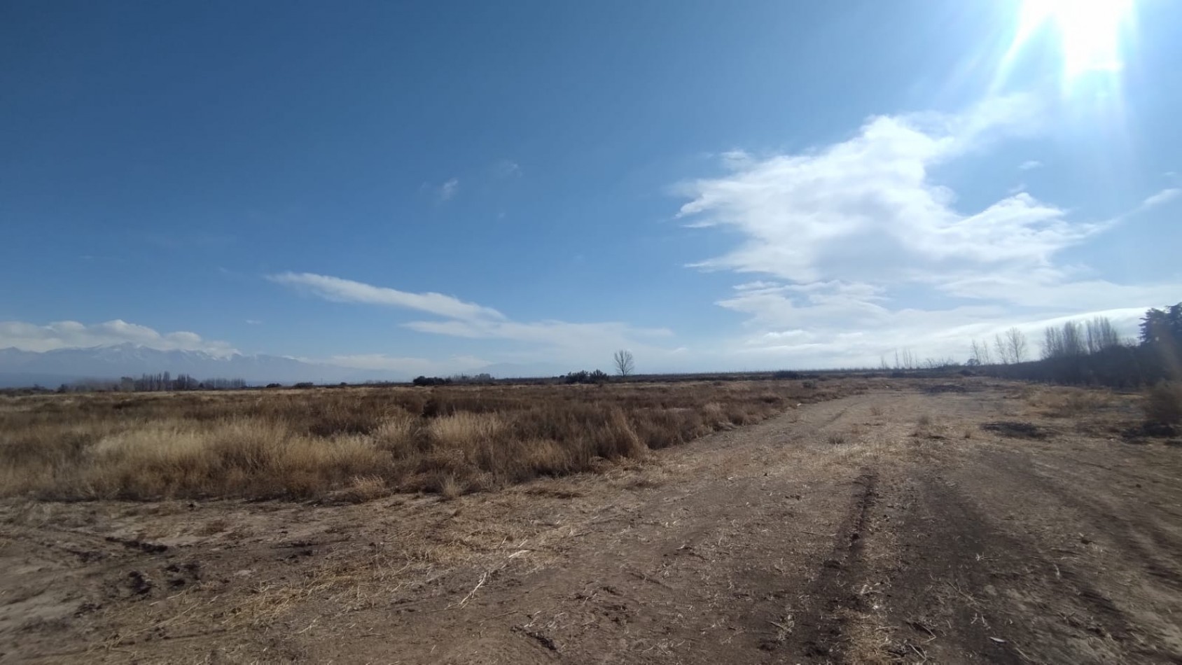 INMOESTATE VENDE FINCAS PRODUCTIVAS EN UGARTECHE, LUJAN DE CUYO, MENDOZA