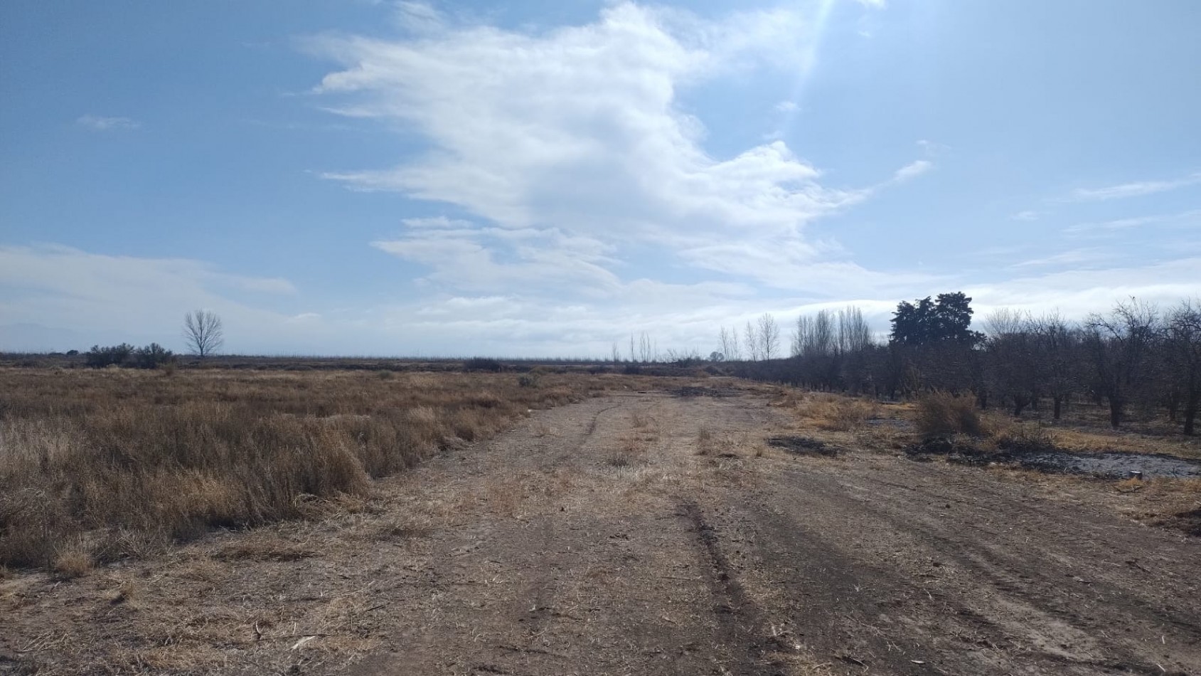 INMOESTATE VENDE FINCAS PRODUCTIVAS EN UGARTECHE, LUJAN DE CUYO, MENDOZA