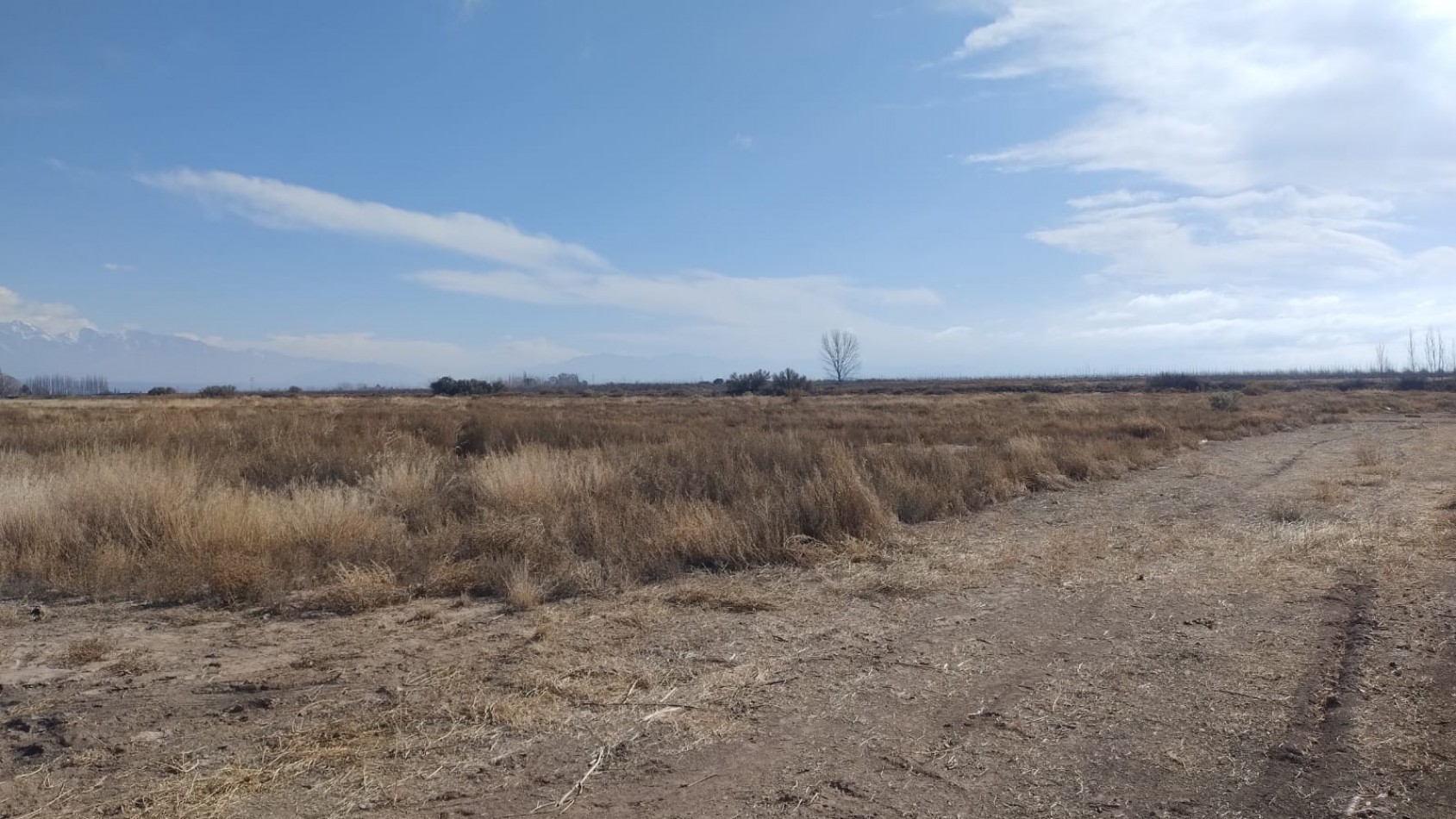 INMOESTATE VENDE FINCAS PRODUCTIVAS EN UGARTECHE, LUJAN DE CUYO, MENDOZA