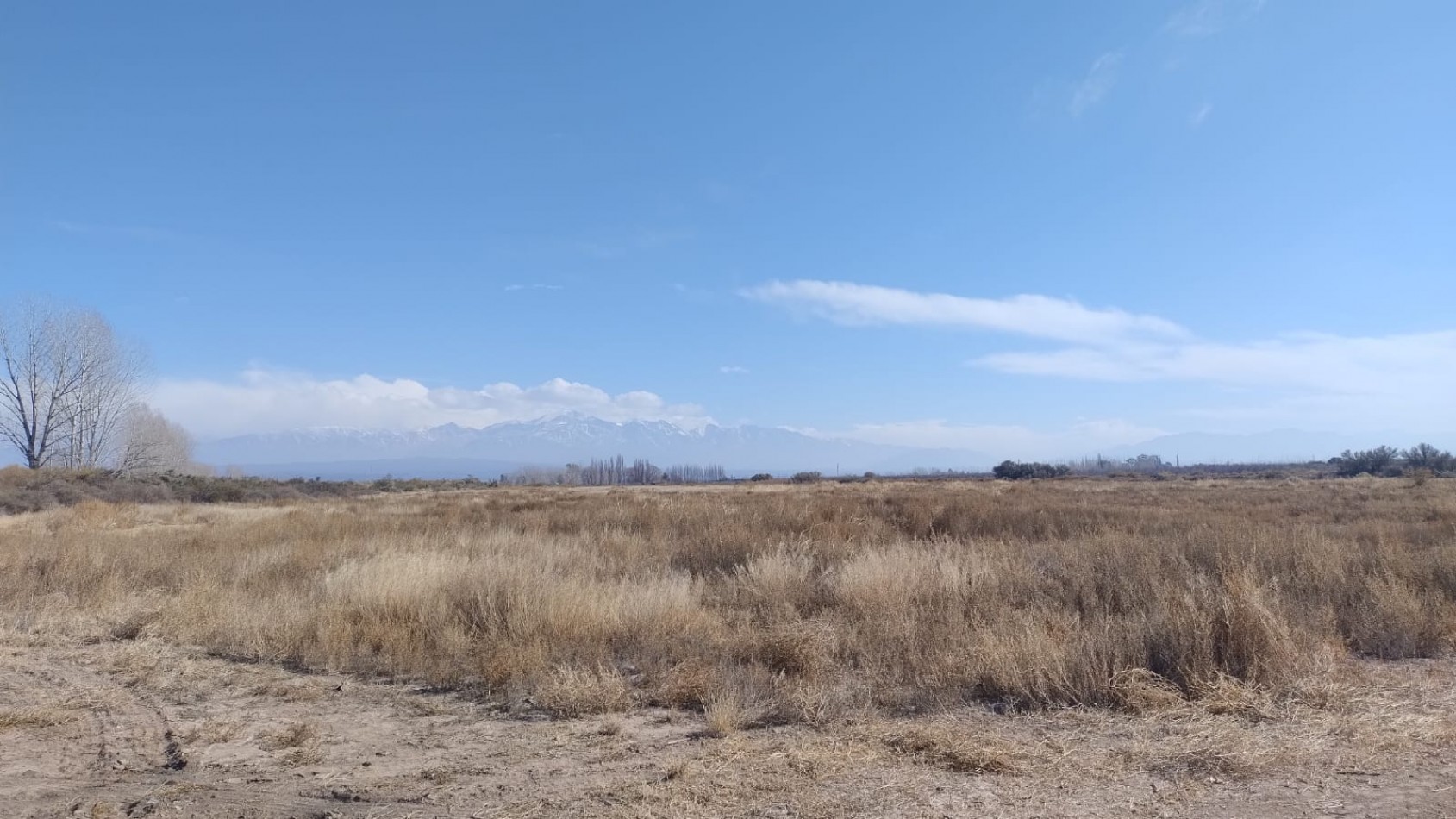 INMOESTATE VENDE FINCAS PRODUCTIVAS EN UGARTECHE, LUJAN DE CUYO, MENDOZA