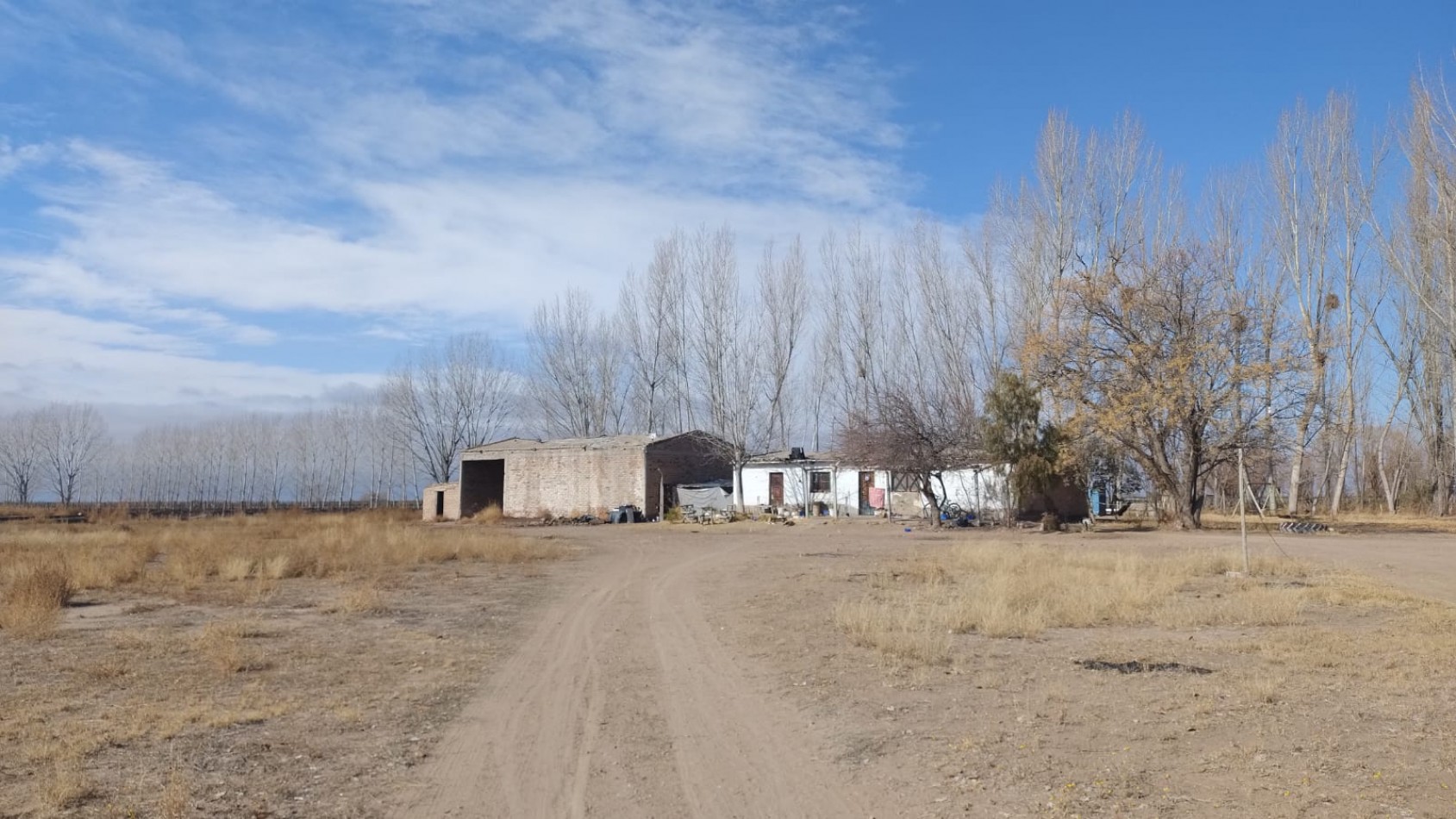 INMOESTATE VENDE FINCAS PRODUCTIVAS EN UGARTECHE, LUJAN DE CUYO, MENDOZA