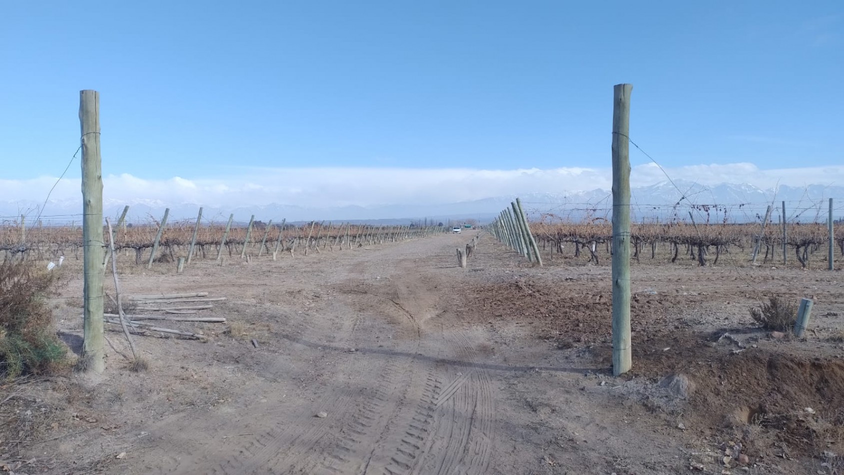 INMOESTATE VENDE FINCAS PRODUCTIVAS EN UGARTECHE, LUJAN DE CUYO, MENDOZA