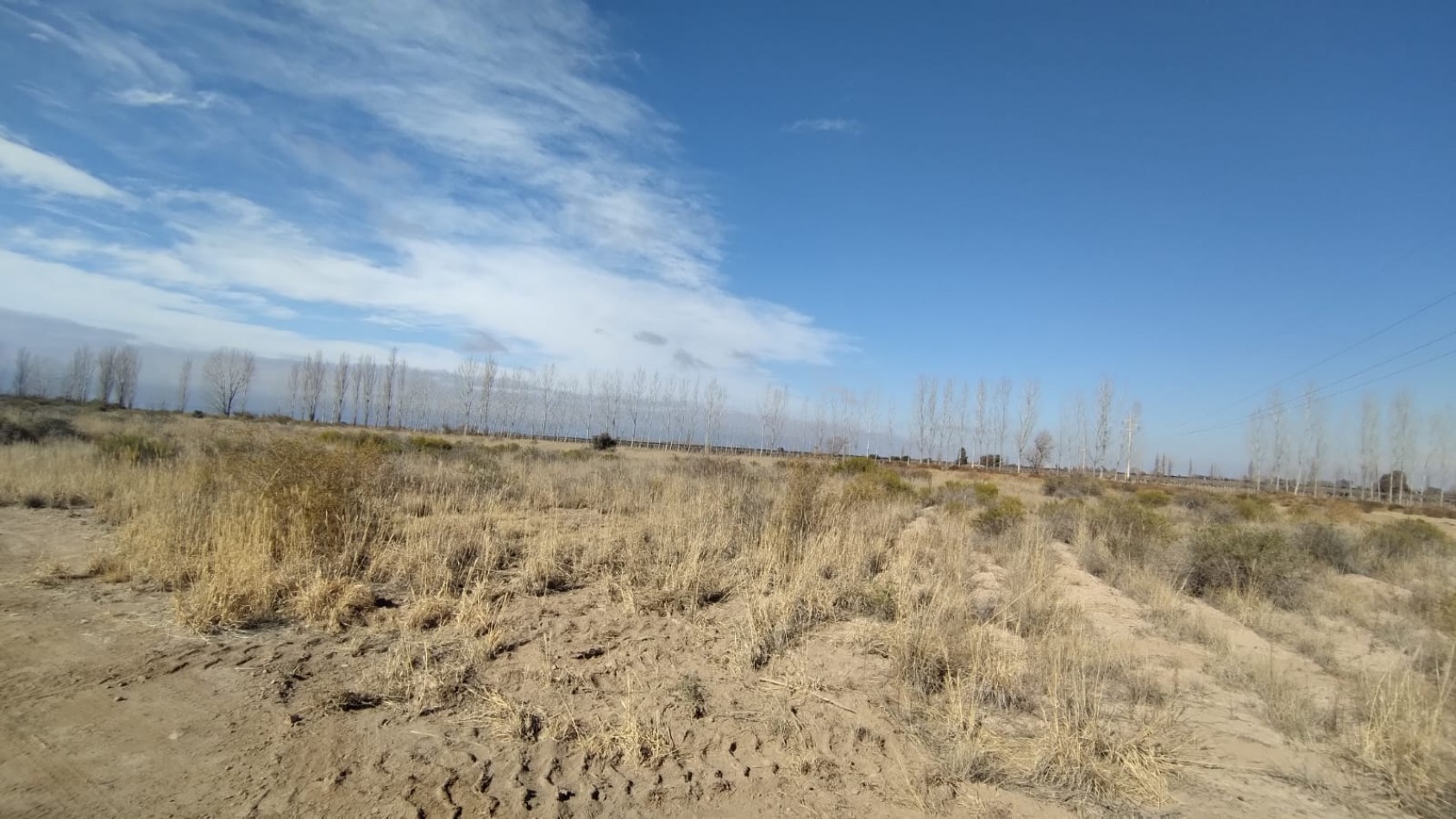 INMOESTATE VENDE FINCAS PRODUCTIVAS EN UGARTECHE, LUJAN DE CUYO, MENDOZA