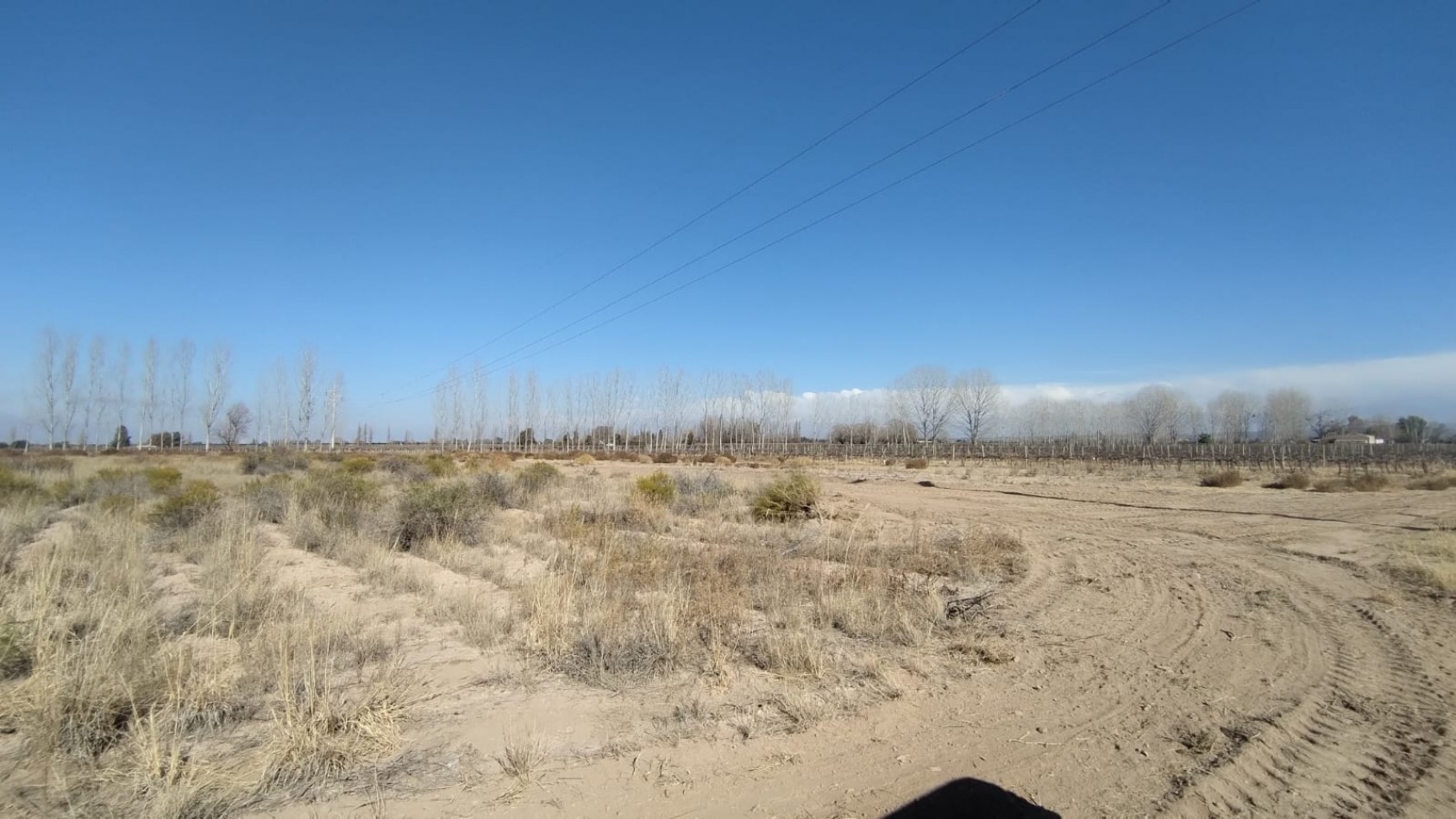 INMOESTATE VENDE FINCAS PRODUCTIVAS EN UGARTECHE, LUJAN DE CUYO, MENDOZA