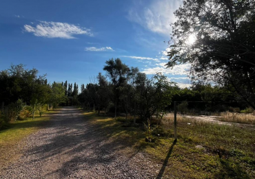 LARREA CHACRAS DE CORIA