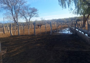 CAMPO GANADERO LOS PORTEZUELOS