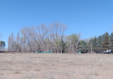 LOTE EN VENTA EN MALARGUE, MENDOZA