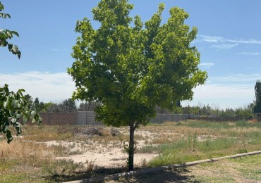LOTE EN VENTA EN TIERRA MALBEC, CHACRAS DE CORIA