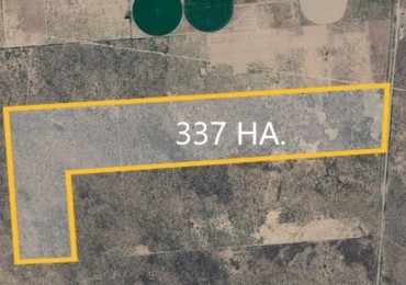 INMOESTATE VENDE CAMPO EN LAS CATITAS SANTA ROSA, MENDOZA